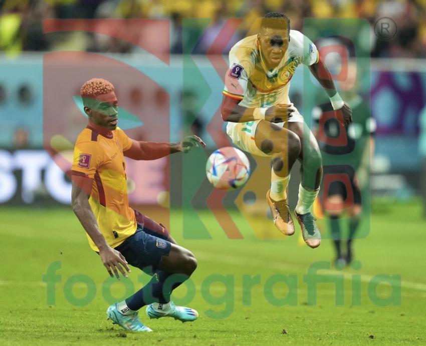 2022 FIFA World Cup - Senegal vs Ecuador