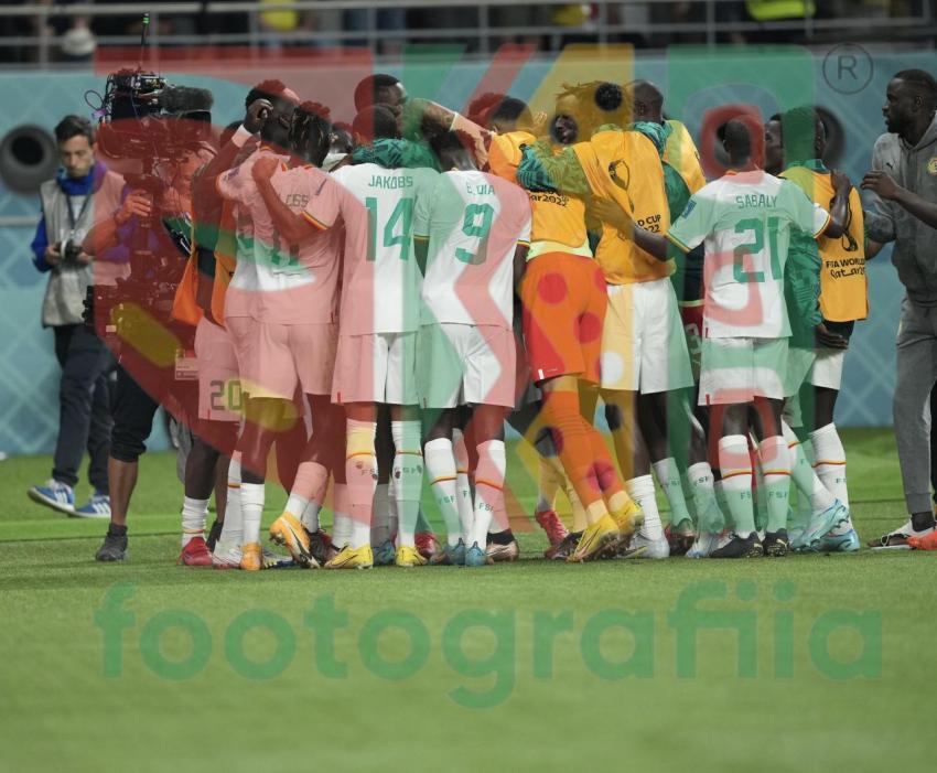 2022 FIFA World Cup - Senegal vs Ecuador