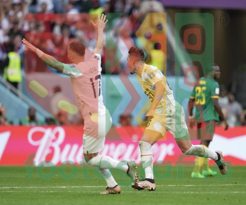 2022 FIFA World Cup - Cameroon vs Serbia