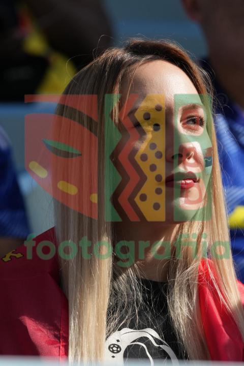 2022 FIFA World Cup - Cameroon vs Serbia