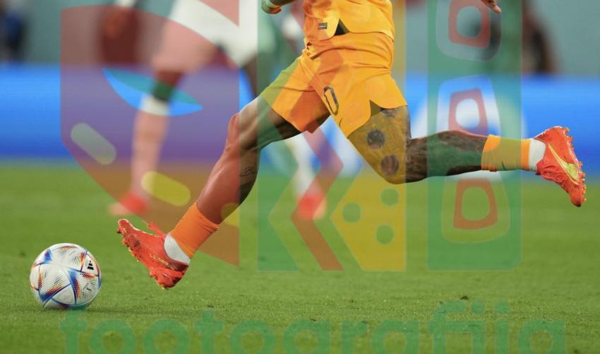2022 FIFA World Cup - Senegal vs Netherlands