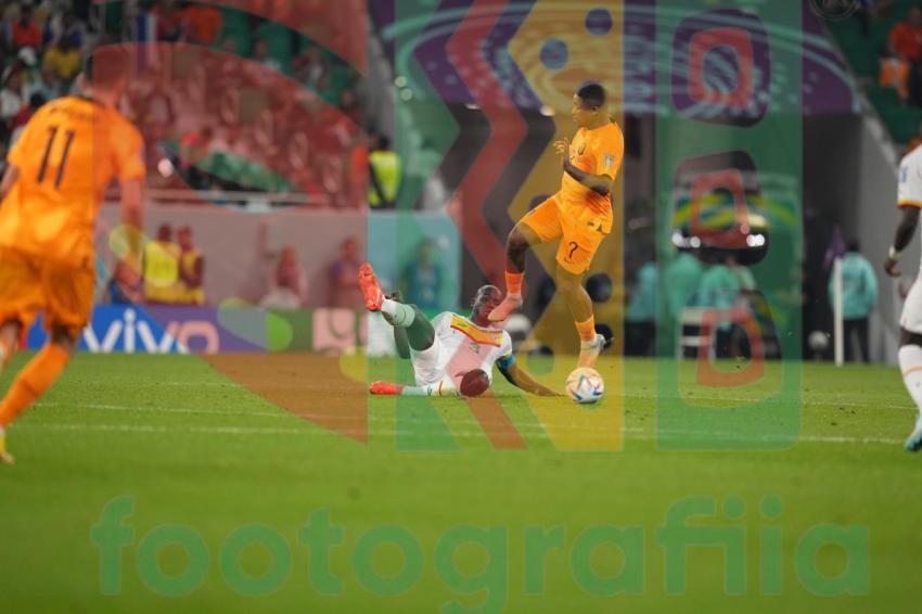 2022 FIFA World Cup - Senegal vs Netherlands