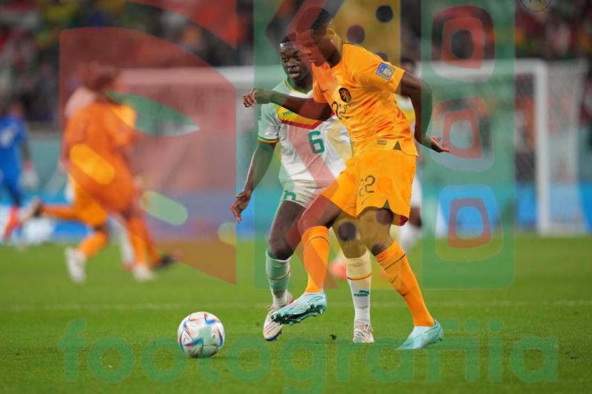 2022 FIFA World Cup - Senegal vs Netherlands
