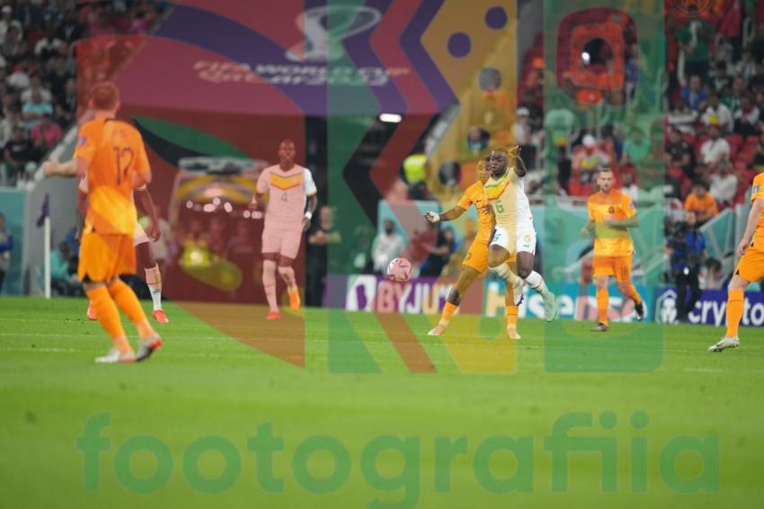 2022 FIFA World Cup - Senegal vs Netherlands