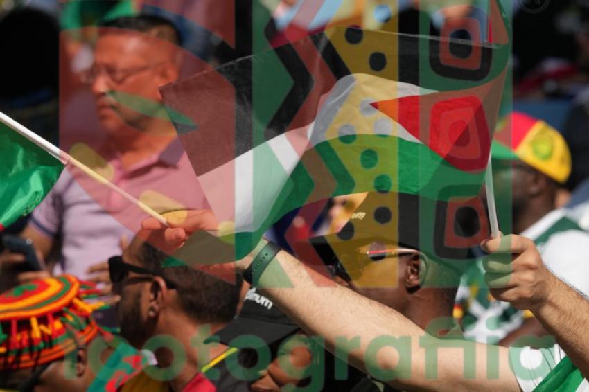 2022 FIFA World Cup - Cameroon vs Serbia