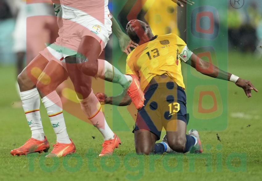 2022 FIFA World Cup - Senegal vs Ecuador