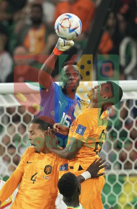2022 FIFA World Cup - Senegal vs Netherlands