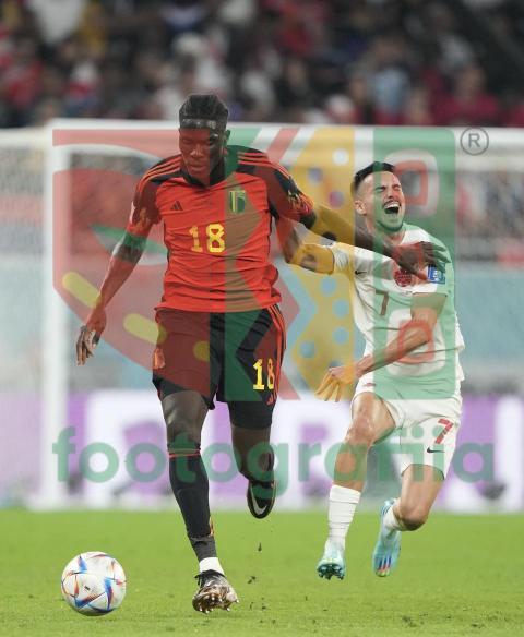 2022 FIFA World Cup - Belgium vs Canada