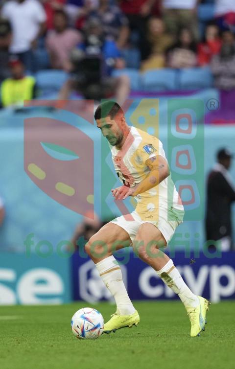 2022 FIFA World Cup - Cameroon vs Serbia